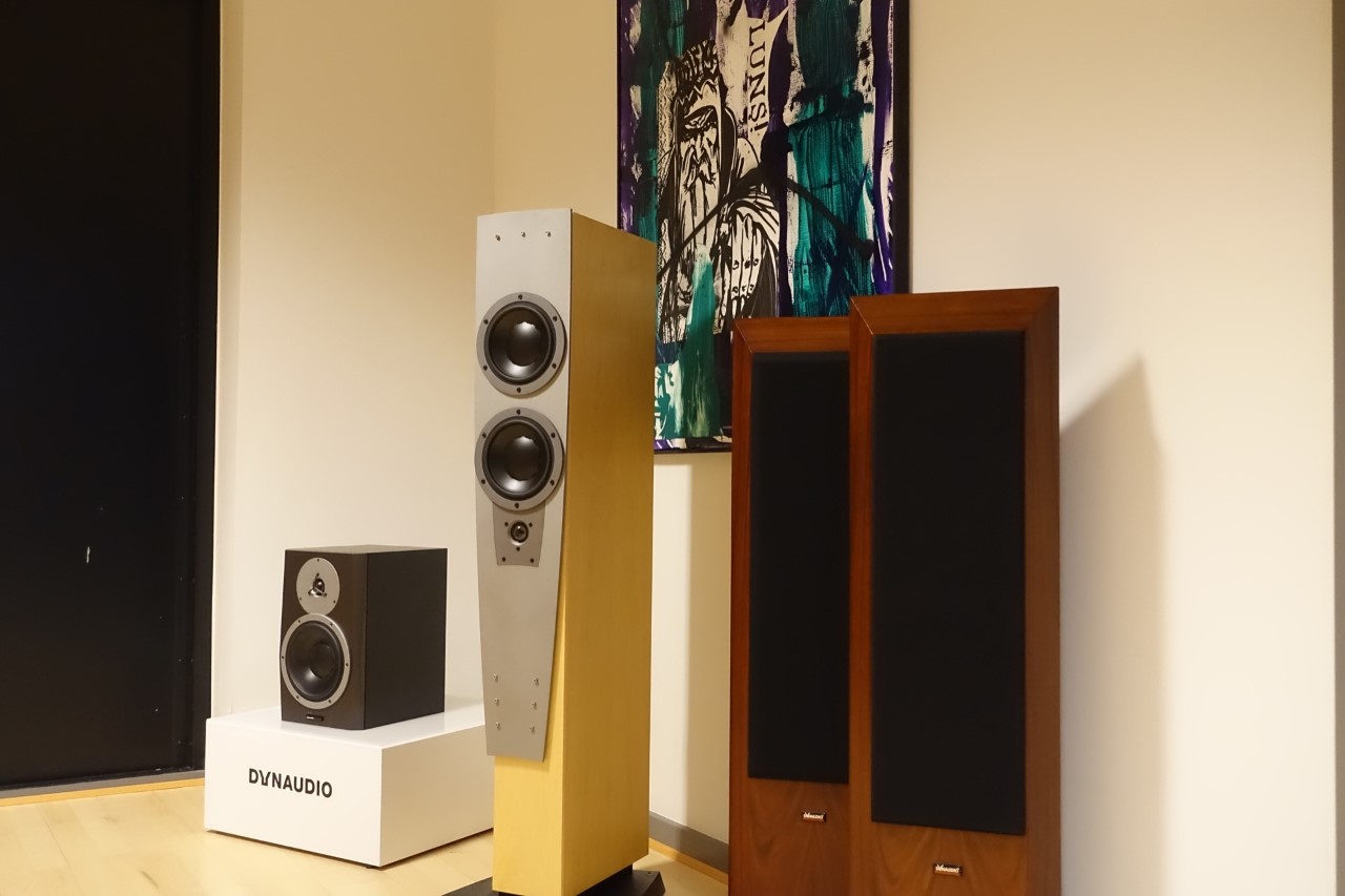 涓规嬁涓归害鎬婚儴,涓规嬁dynaudio2019