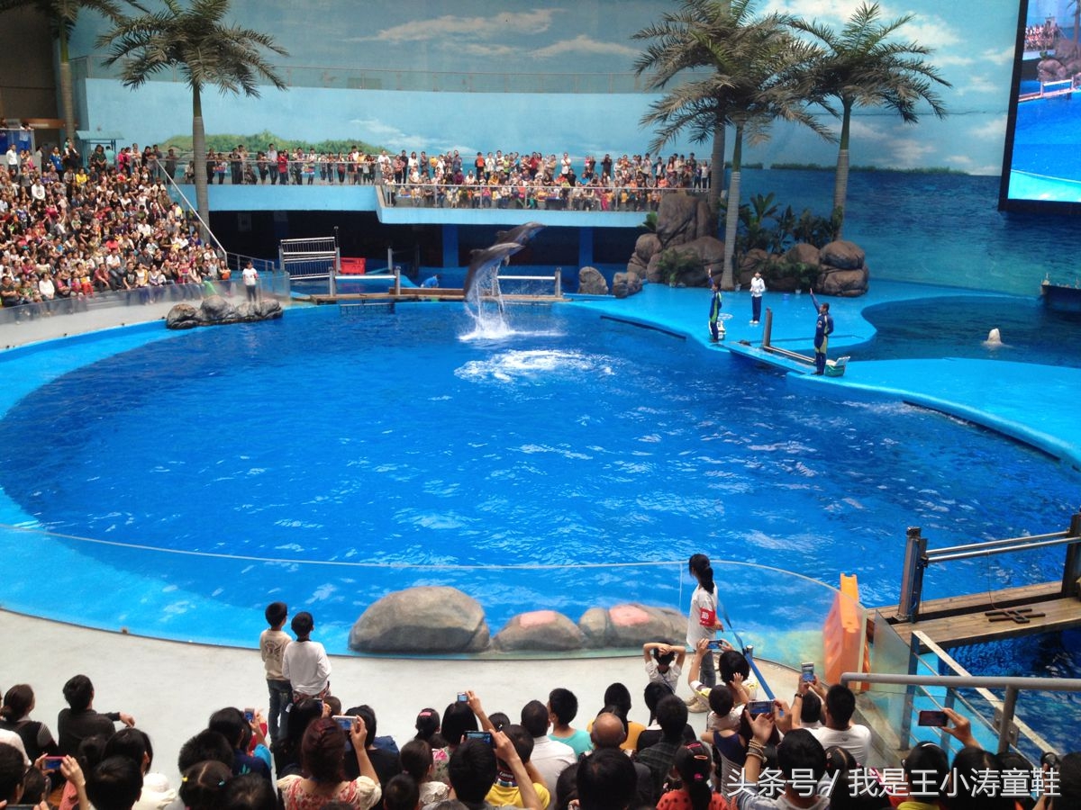 带孩子来游海昌极地海洋世界吧,带着你的宝宝畅游海洋冰雪之旅