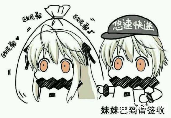 二次元专业术语意思,二次元必懂词汇