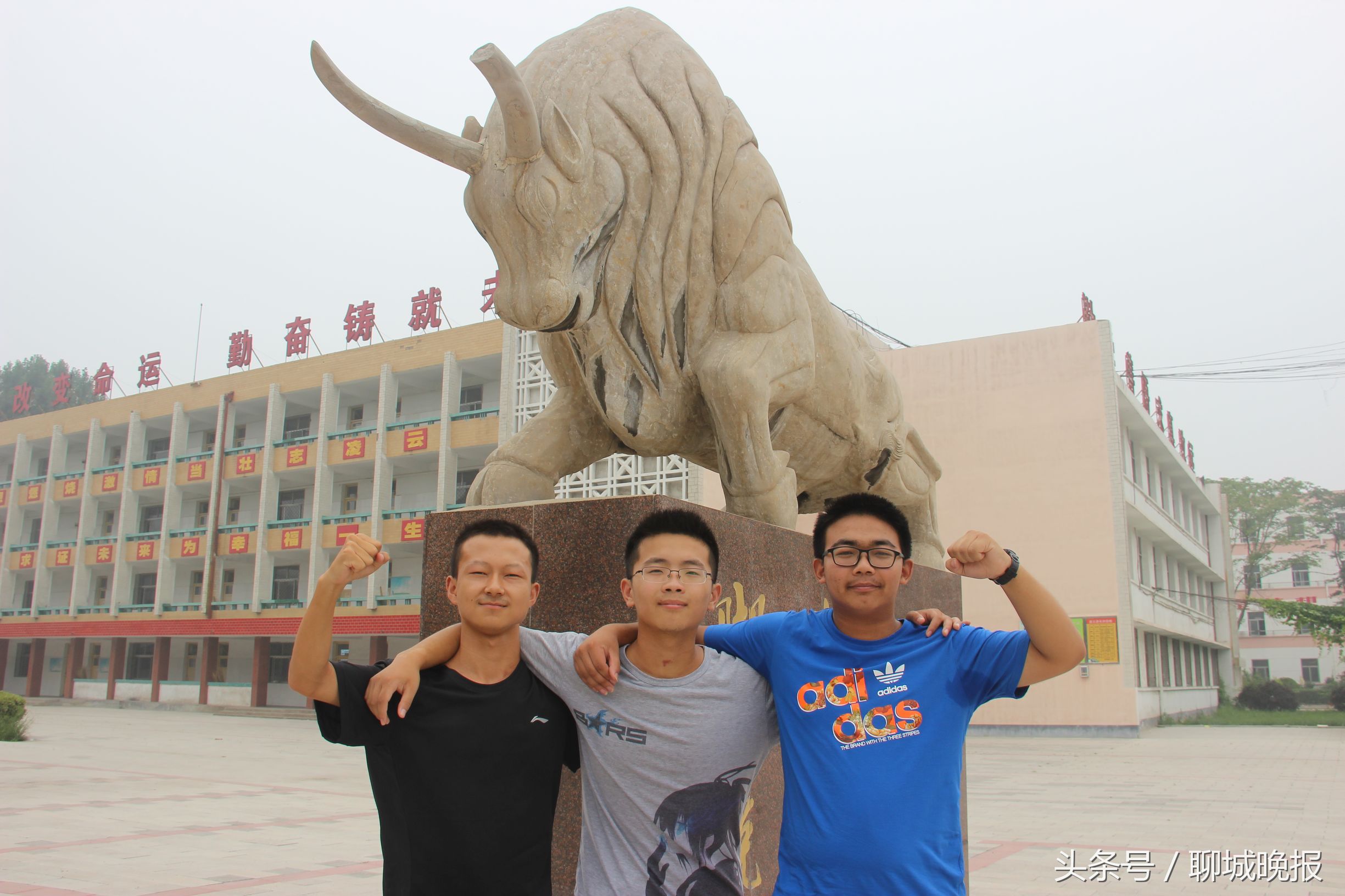 喜报学子被录取,东阿一中1901班喜报