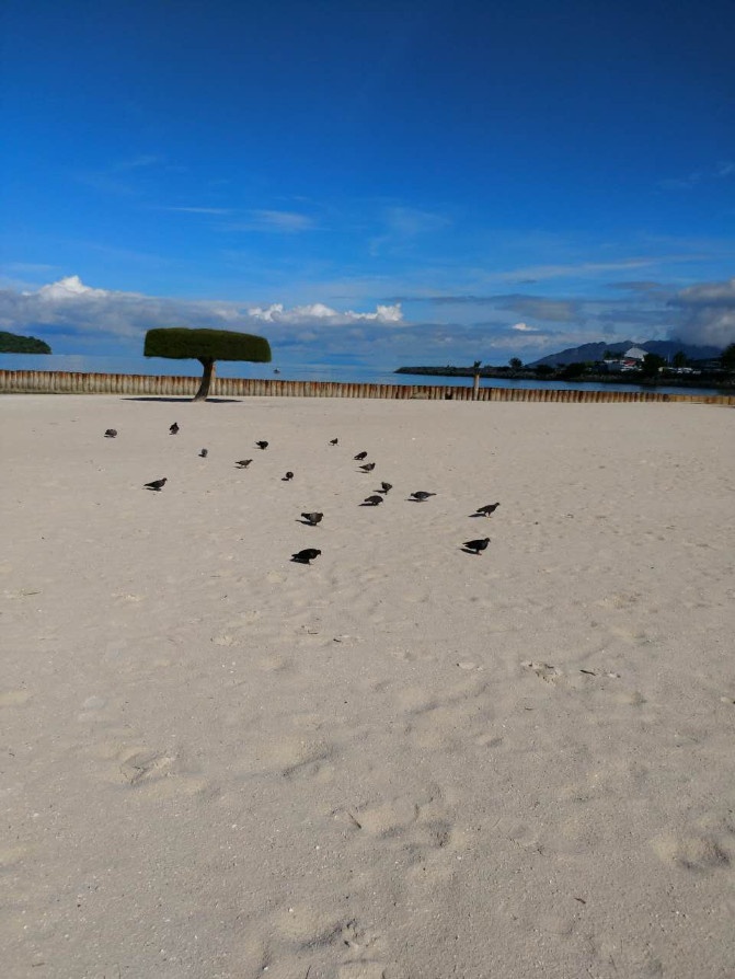 想走就走的旅行兰卡威六日游,兰卡威3天2晚的自由行攻略