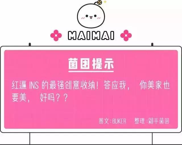 100元内红遍ins的创意收纳，我的家也要颜值爆表！