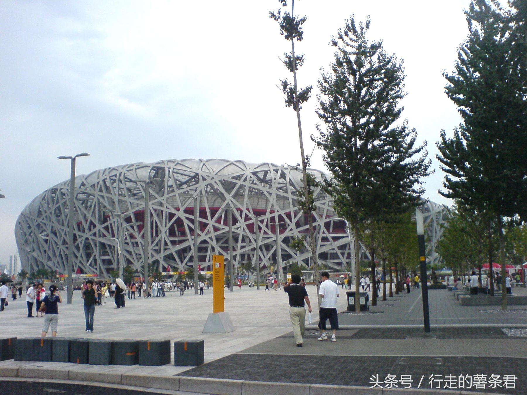 鸟巢体育馆上的鸟窝多高,北京鸟窝属于什么鸟巢