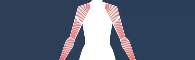 一岁宝宝误食蜂蜜,新生儿误食蜂蜜怎么补救