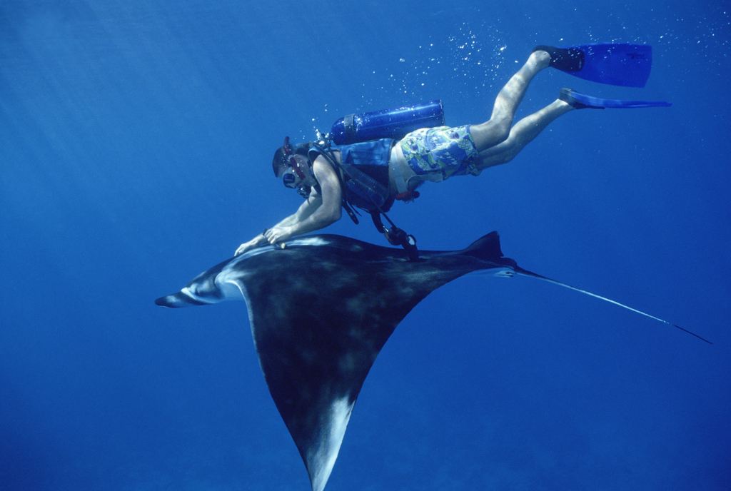 帕劳有什么玩的,帕劳出行攻略