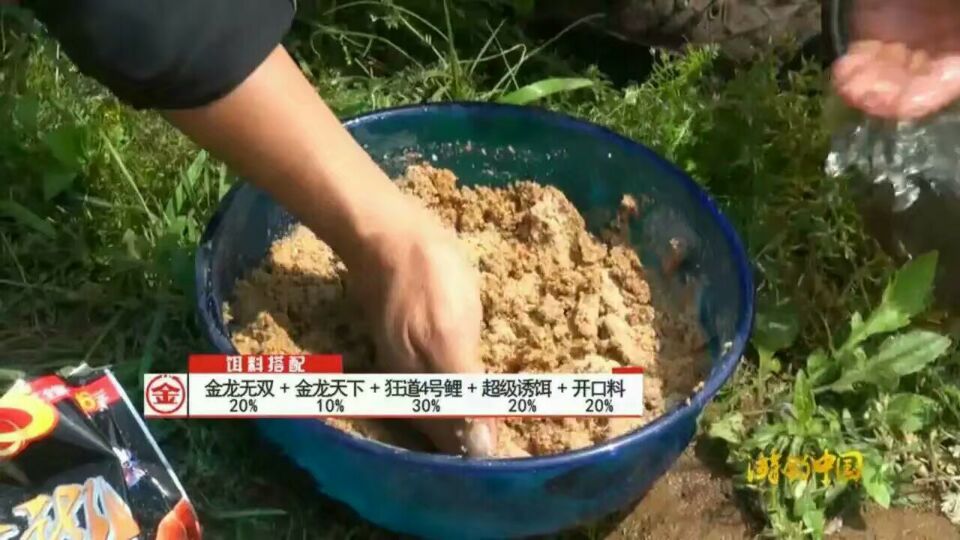 金龙经典饵料,媲美商品饵的鱼饵