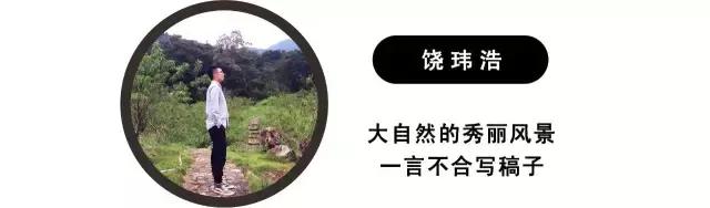 奥迪r8对比tt,奥迪r8和tt有啥区别