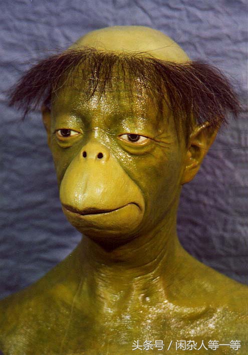 从河童开始的百鬼夜行小说,百鬼夜行里面的河童