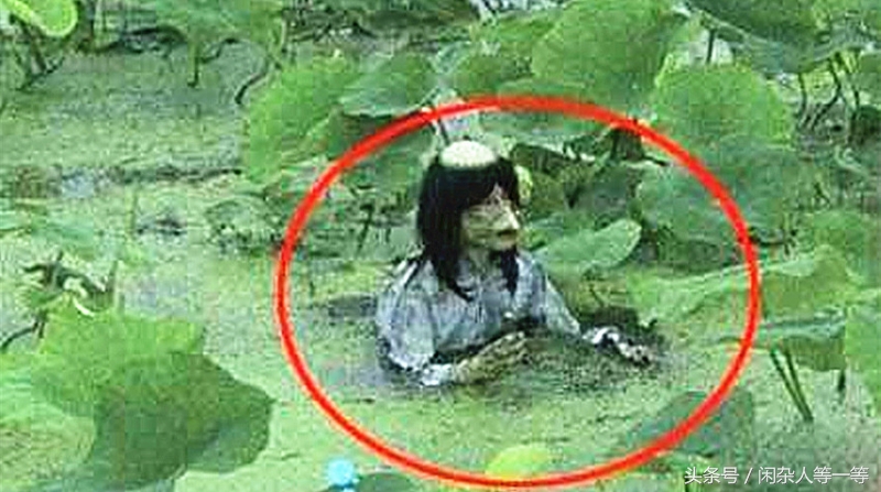 从河童开始的百鬼夜行小说,百鬼夜行里面的河童