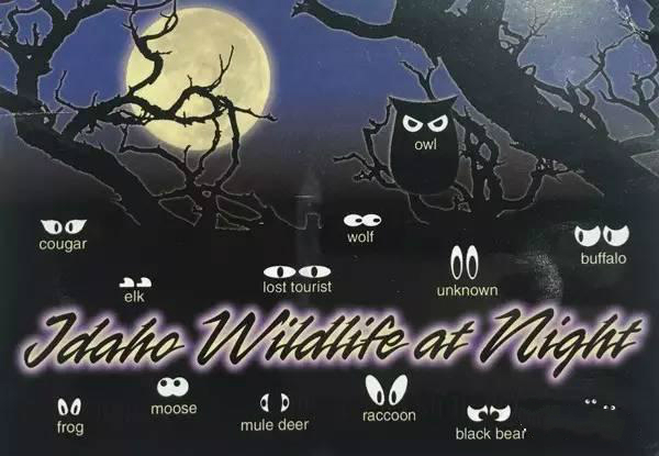 美国美景明信片,关于各个国家风景的明信片