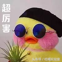 口述:真实*鸭做**子的血泪日记