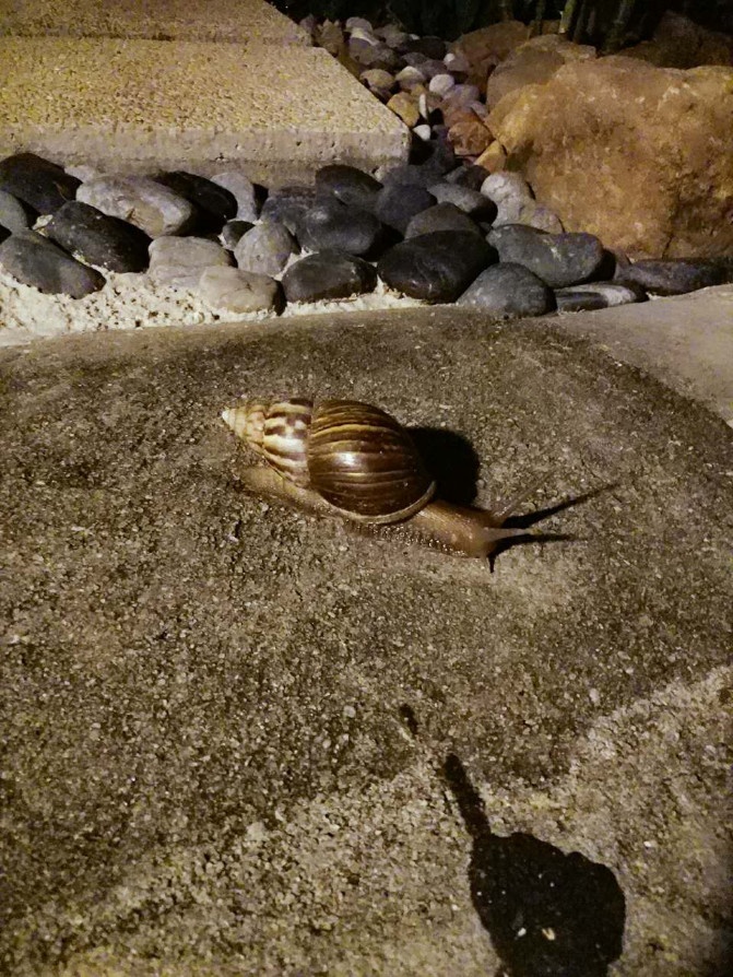 想走就走的旅行兰卡威六日游,兰卡威3天2晚的自由行攻略