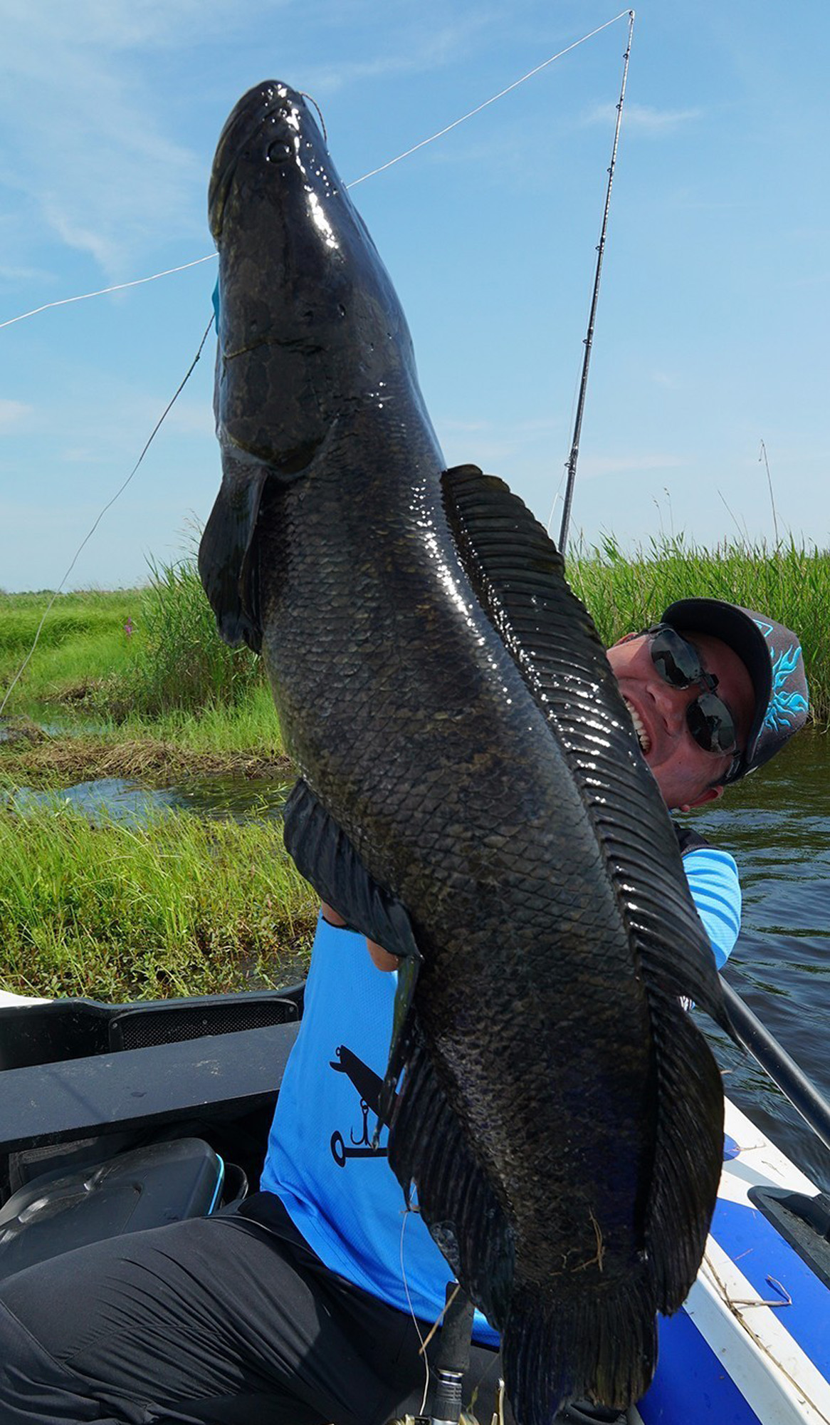 雷强纪录片完整版,雷强最好用的雷蛙