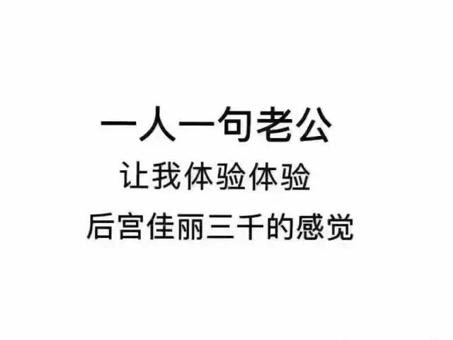 100元内红遍ins的创意收纳，我的家也要颜值爆表！