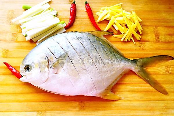 清蒸白鲳鱼怎么蒸才好吃,清蒸鲳鱼要蒸几分钟才好