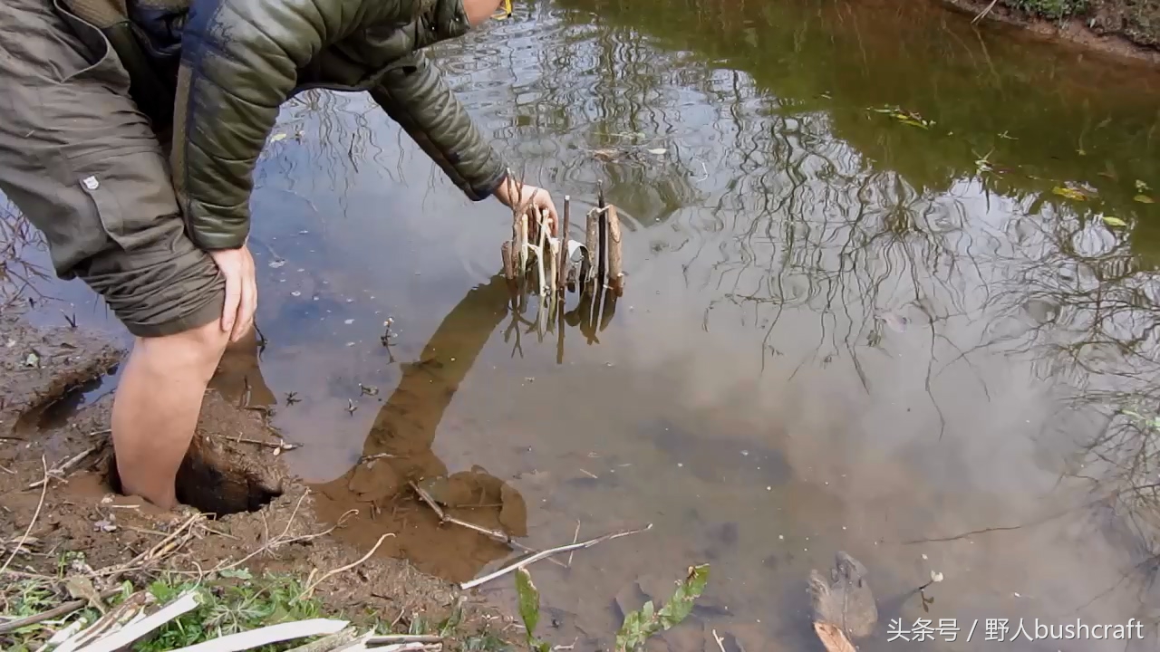 两种有效的野外捕鱼陷阱，抓不到鱼小编嫁给你！
