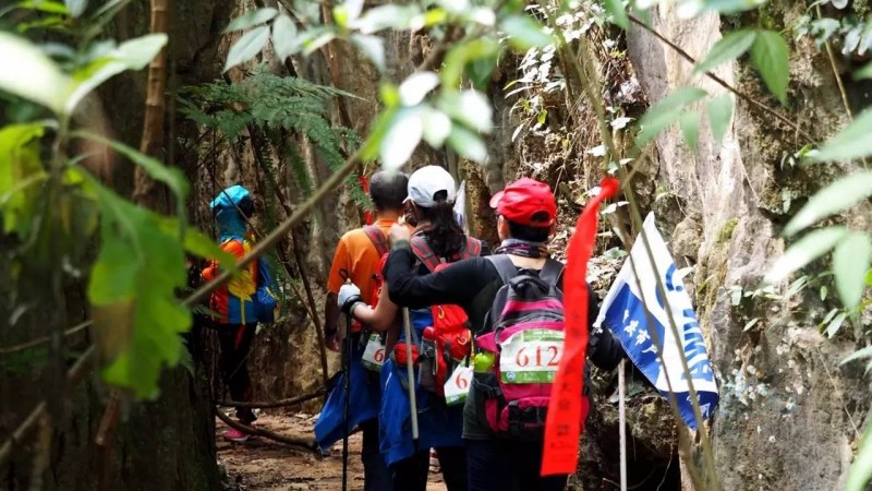 鲁滨逊登山杖爬山前面需要打开吗,鲁滨逊登山用什么手杖