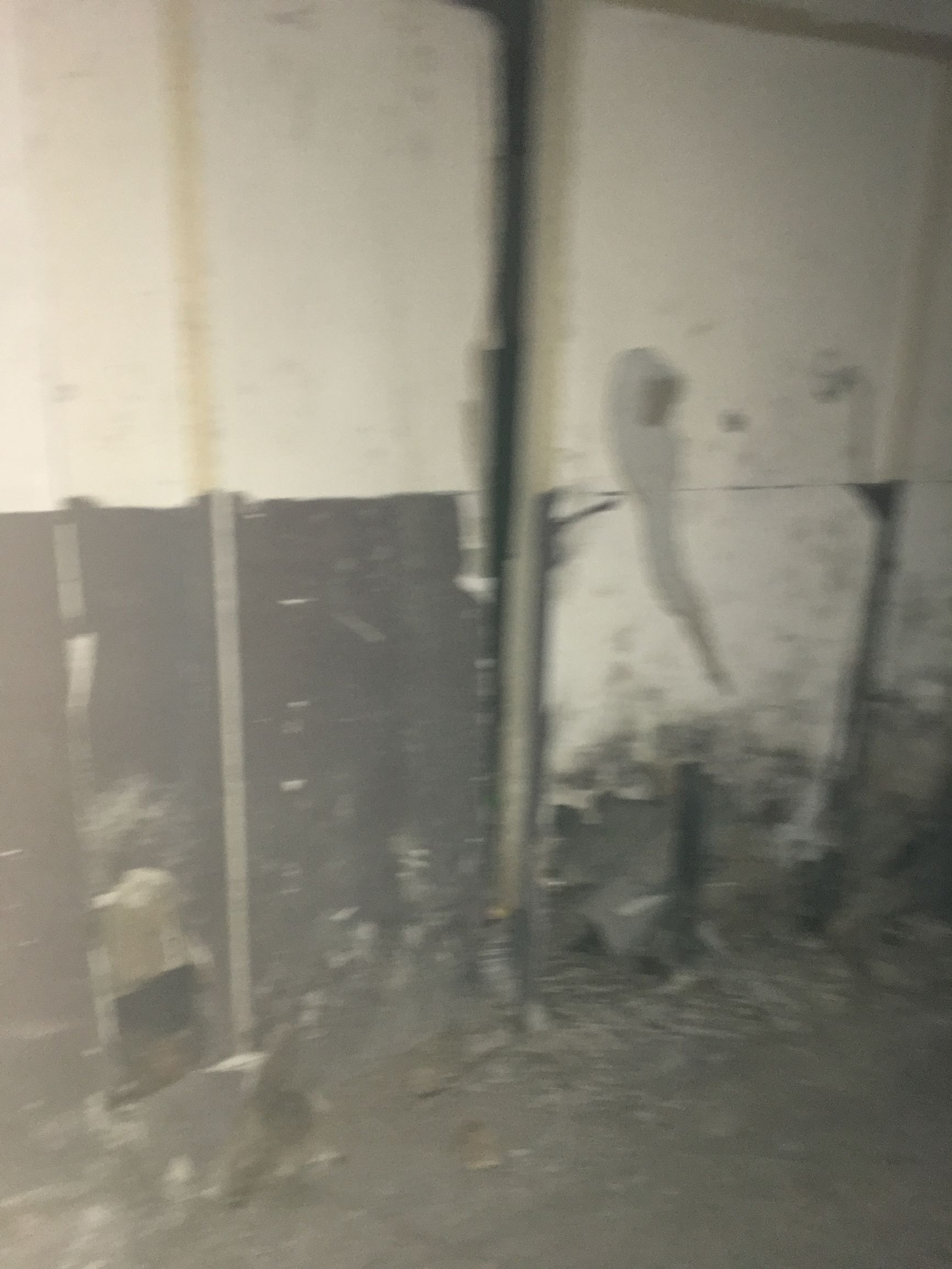 发奖啦！快来接住这第七批“蜀山喊你来找茬”的好礼！