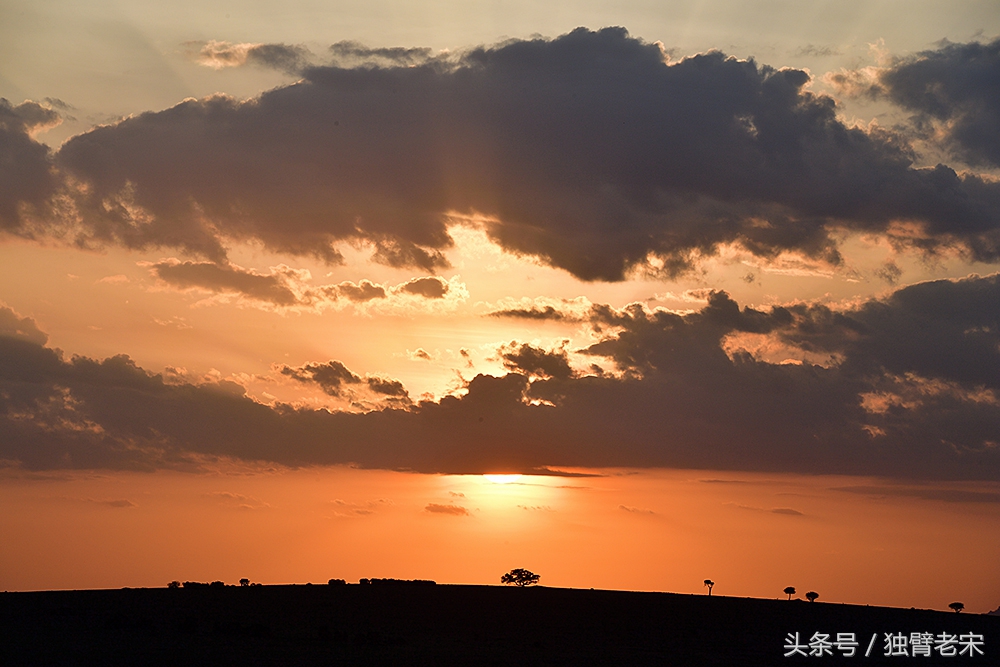 非洲马赛人有多厉害狮子都被吓跑,马赛人手拿一支长矛单挑一头狮子