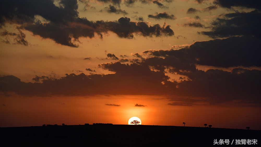 非洲马赛人有多厉害狮子都被吓跑,马赛人手拿一支长矛单挑一头狮子