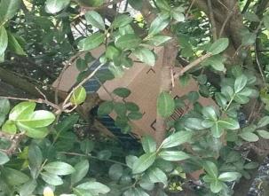 京东停用天天快递事件,京东天天快递现状