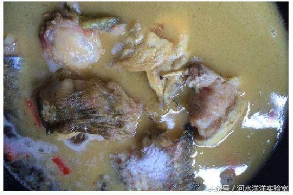 红烧鲶鱼鱼块的做法大全,剁椒鱼头红烧鲶鱼的做法