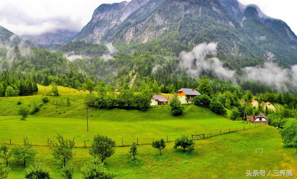 王维描写山水田园派的诗句,王维的山水田园诗摘抄