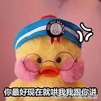 口述:真实*鸭做**子的血泪日记