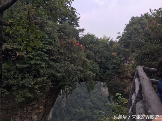 张家界三天两晚攻略,张家界4天3晚自由行