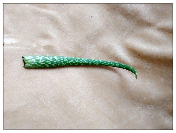 哪款驱蚊止痒产品效果好,驱蚊止痒推荐测评