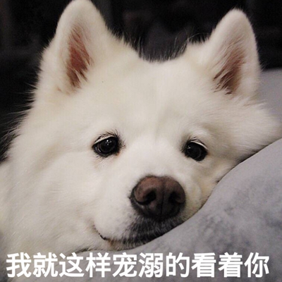 神仙水测评到底好不好用,神仙水真的值得购买么