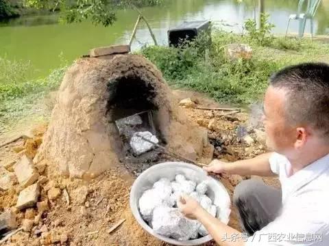 暑假去哪里旅游好进广西,暑假去哪里玩好玩又便宜广西