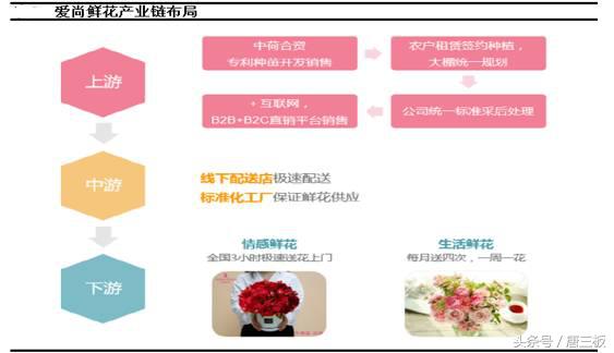 鲜花电商蓝海市场,千亿鲜花市场