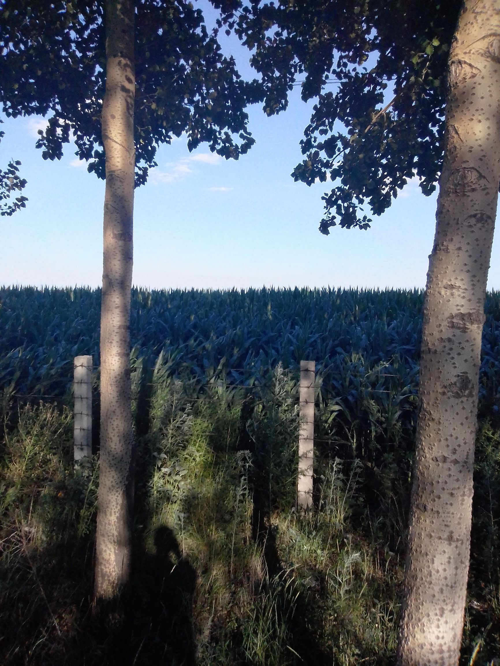 黑龙江游2-3天短途旅游,黑龙江旅游攻略二人多少钱