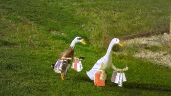 免税店购物退税攻略,出国购物退税攻略