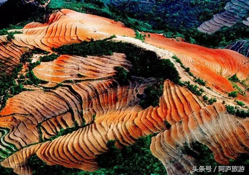 浣犵殑鍚嶅瓧鍗楀崕,浣犵殑鍚嶅瓧鎯呰妭
