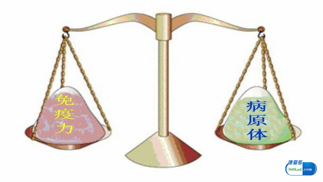 贞芪扶正颗粒提高免疫力效果好吗,贞芪扶正颗粒提高免疫力需要多久