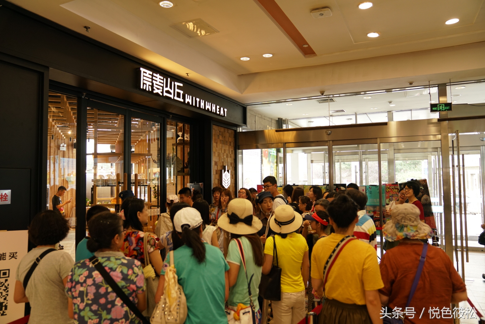 大连全麦面包哪家好吃,原麦山丘的面包为什么那么好吃