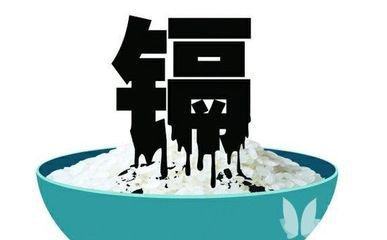 你身边的哪些食物有可能把重金属带进你的身体?危害可不小啊