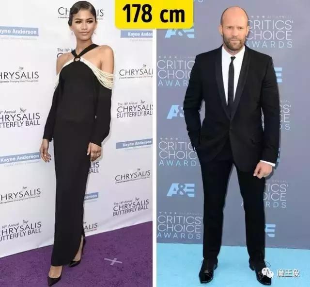 哈利波特角色官方身高,哈利波特人物身高