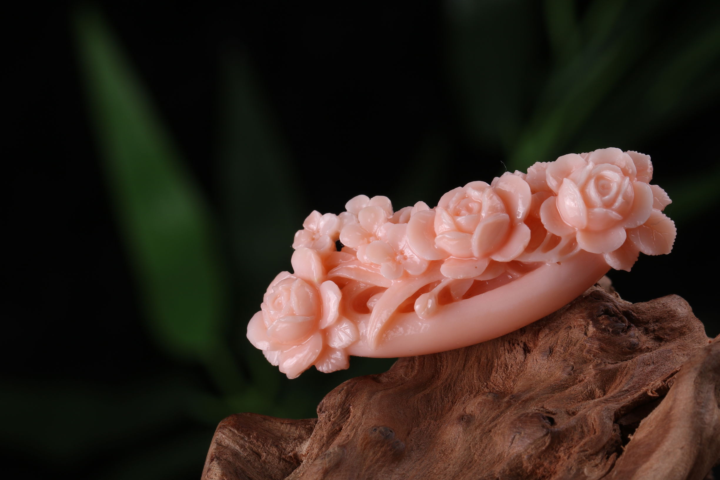 有机宝石珊瑚介绍,珊瑚宝石是什么