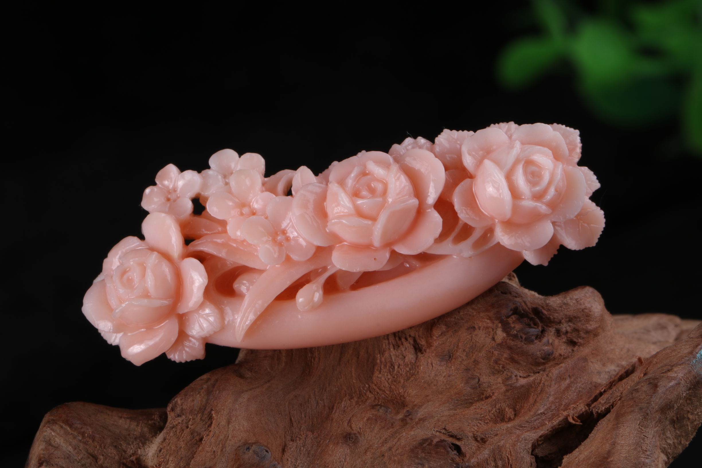 有机宝石珊瑚介绍,珊瑚宝石是什么