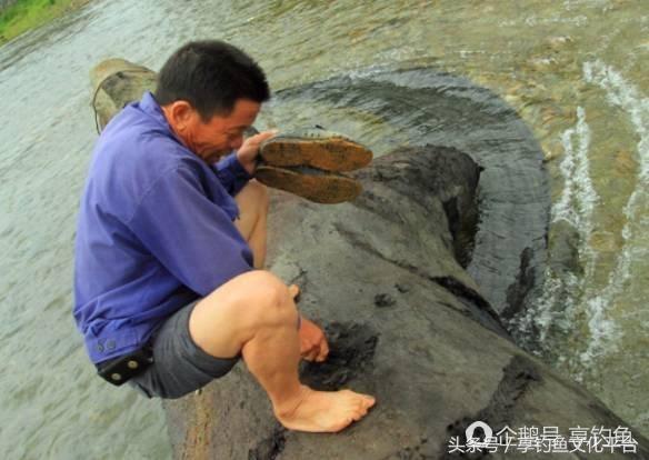 农民自家地里发现天价乌木,河道发现天价乌木