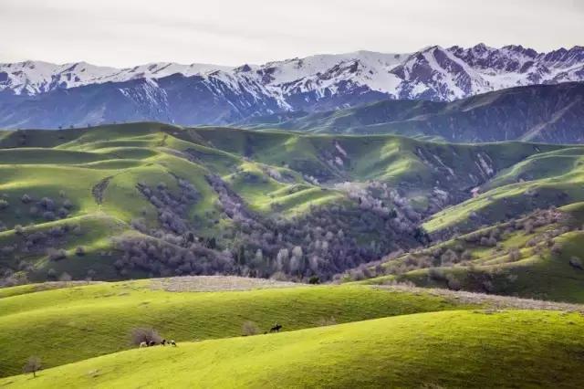 租房车去内蒙古,租房车露营地推荐