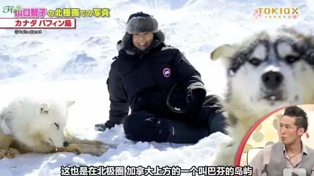 罗子君是家庭主妇,罗子君家庭主妇