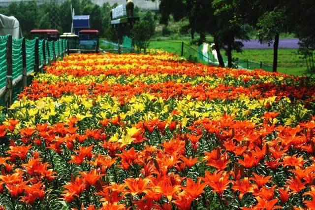 大连牧场旅游景点,大连铭湖牧场附近旅游