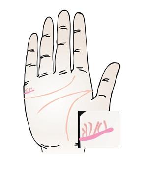 来,贫道教你如何通过手相来看自己后代运势,很多人并不知道可通过手相来判断生男生女