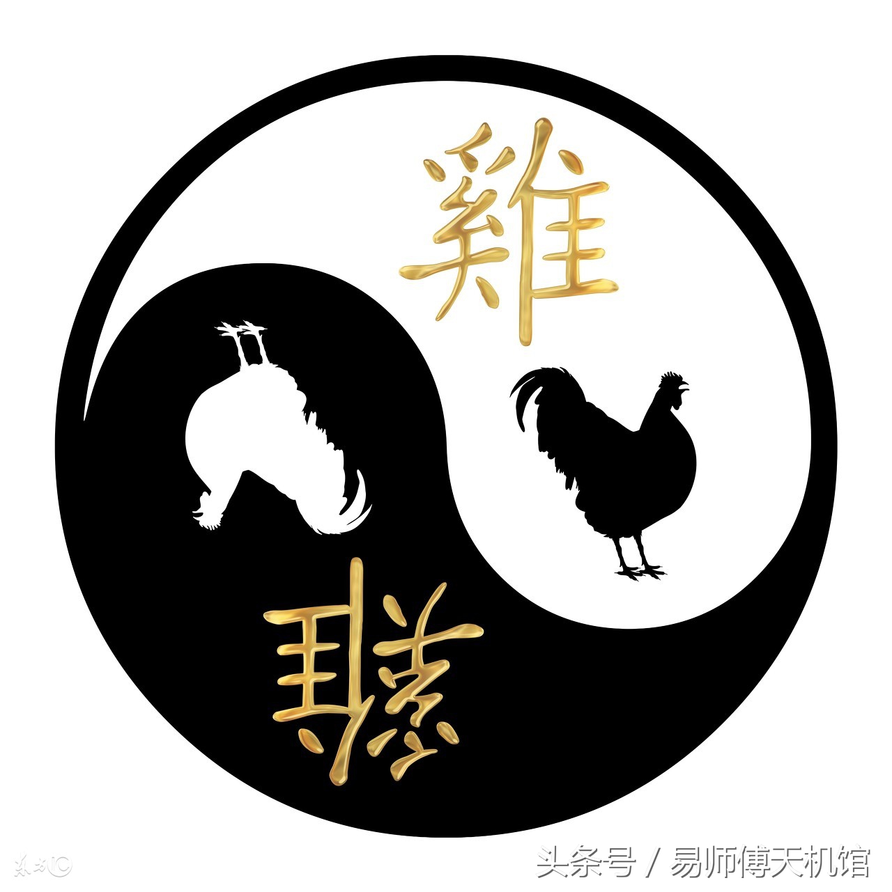 生肖属鸡的人明年的财运,1957年属鸡的本命太岁是什么