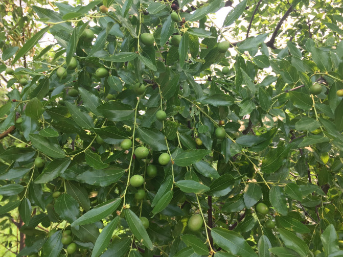 一场说走就走的环岛游,葫芦岛山海关自驾游