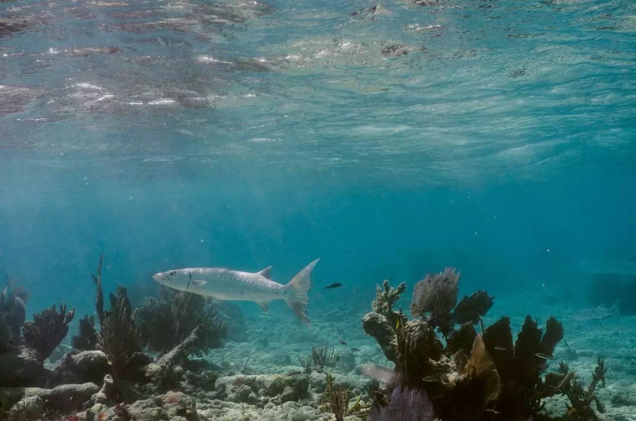 旅行摄影在哪里拍得好点,旅行摄影用什么器材最好